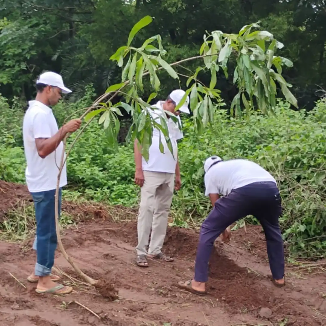 Team Planting a Tree