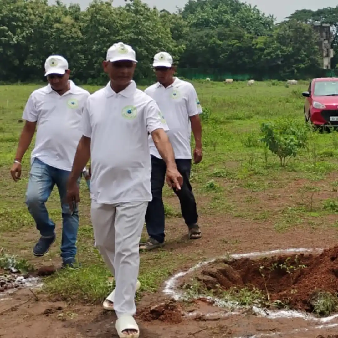 Landscaping Services in Odisha