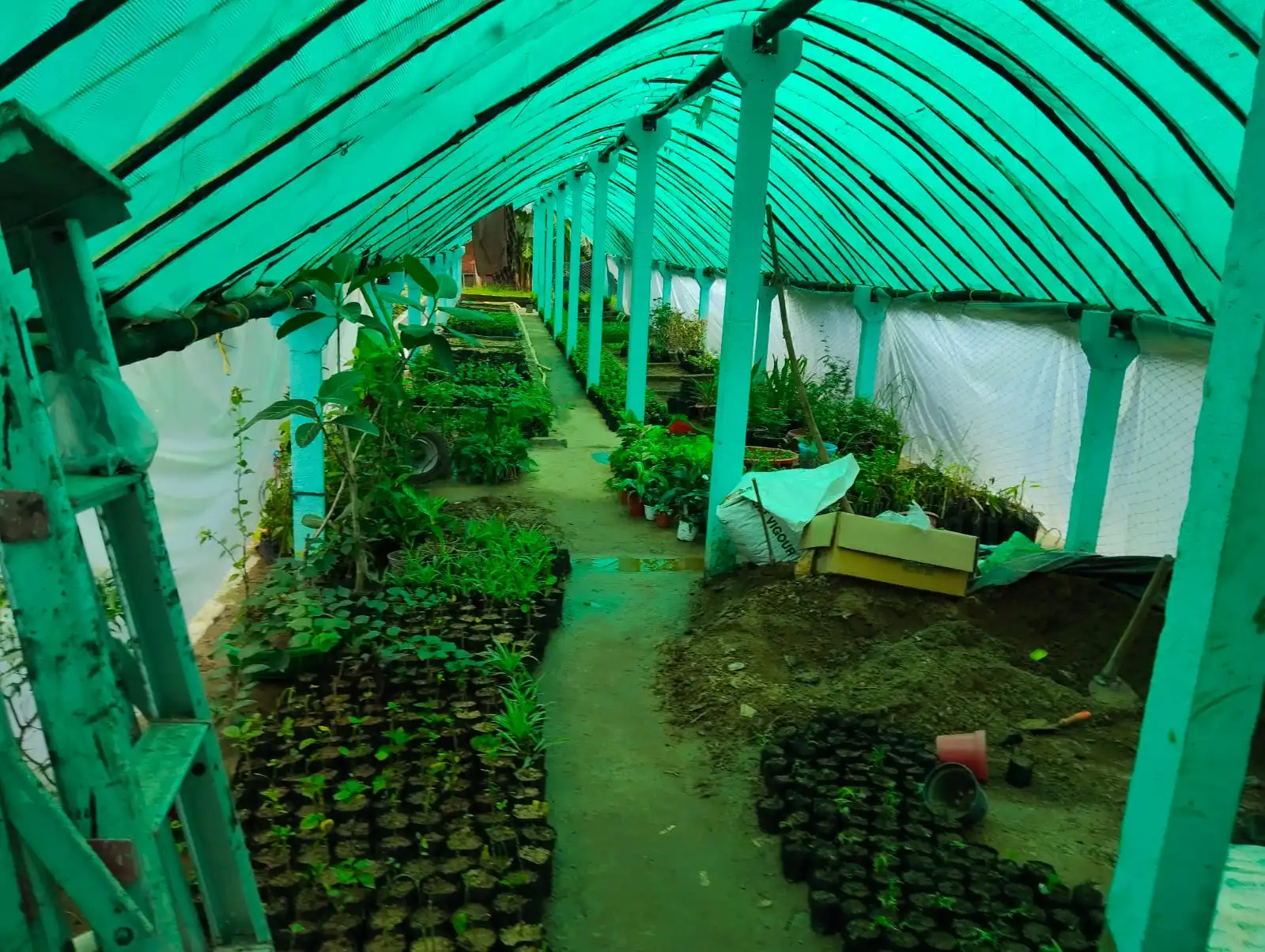 Garden Setup