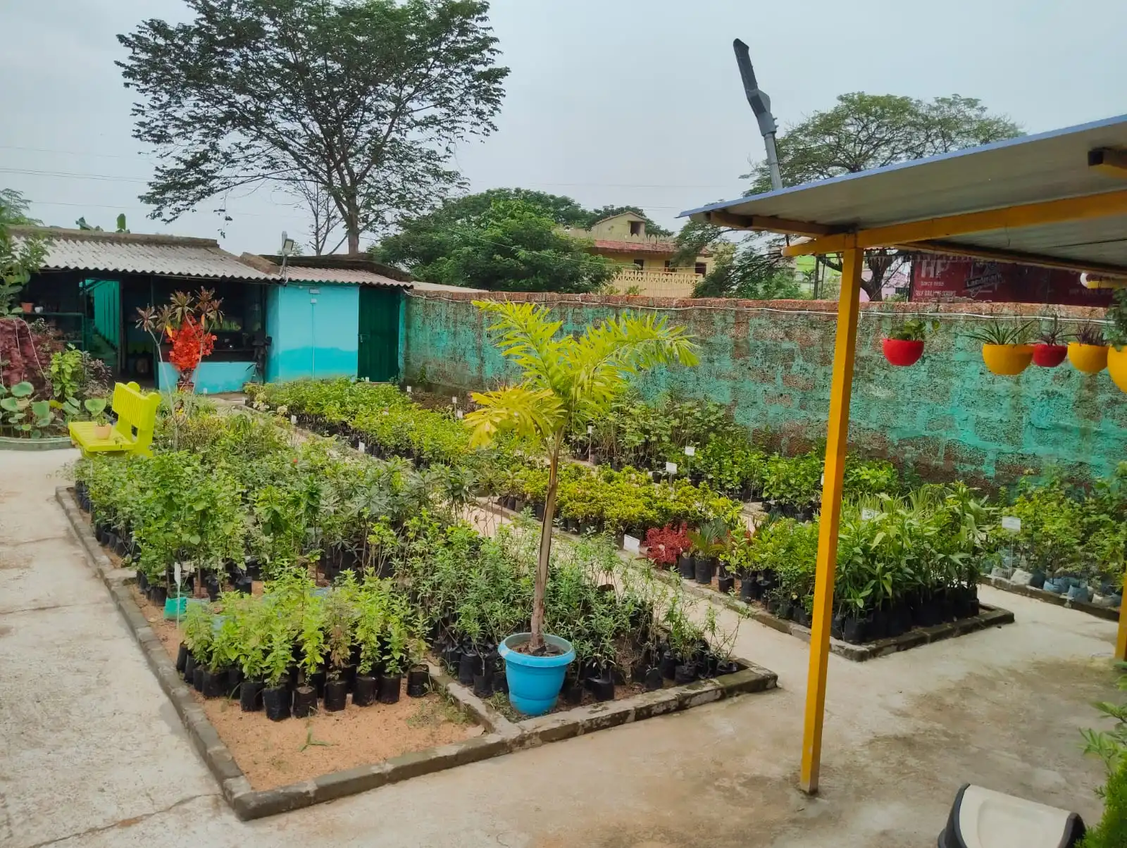 Nursery Greenhouse