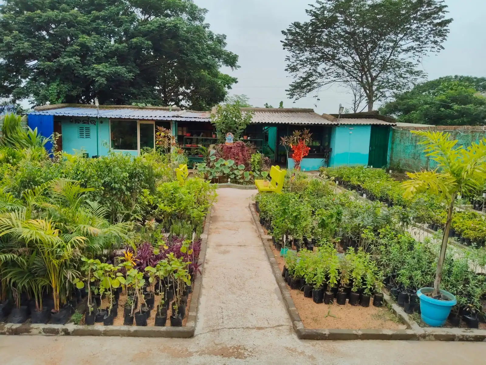 Community Gardening